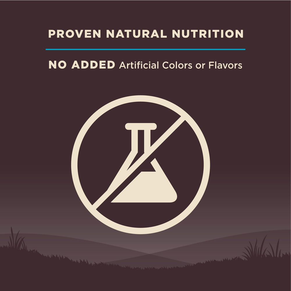 Wellness CORE Omega fatty acids concept with kibble and supplement hints