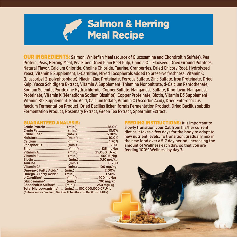 Wellness CORE bag label notes grain-free recipe and natural ingredients.