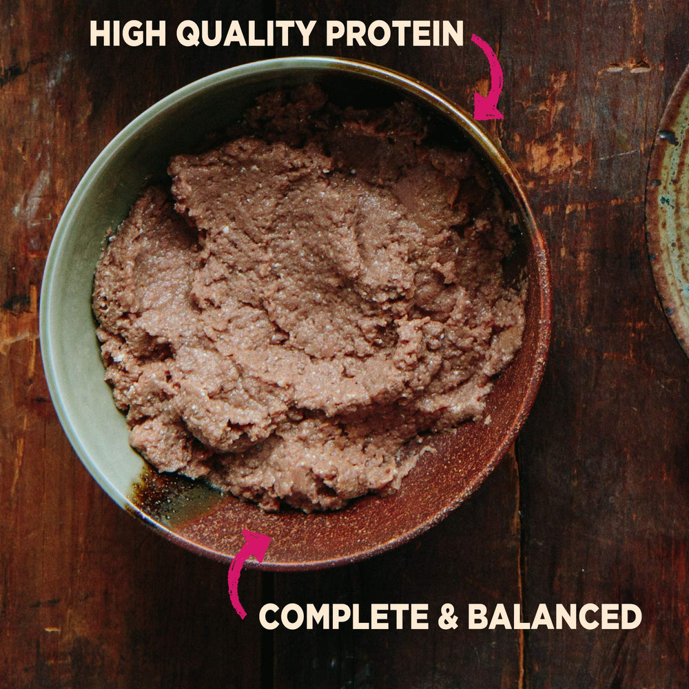 Wellness CORE beef and chicken dinner pate image emphasizing real protein first ingredient