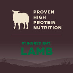 Bowl of Wellness CORE Lamb Recipe kibble with flax and salmon oil hints