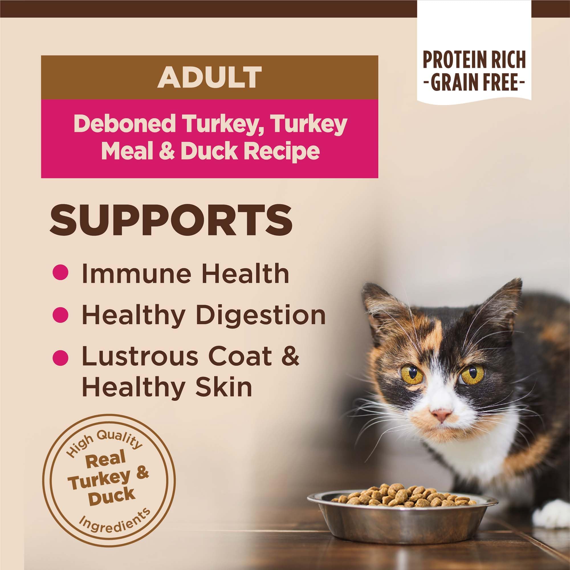 Wellness CORE kibble closeup highlights grain-free bites ideal for adult cats.