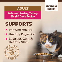 Close-up of Wellness CORE turkey and duck kibble texture.