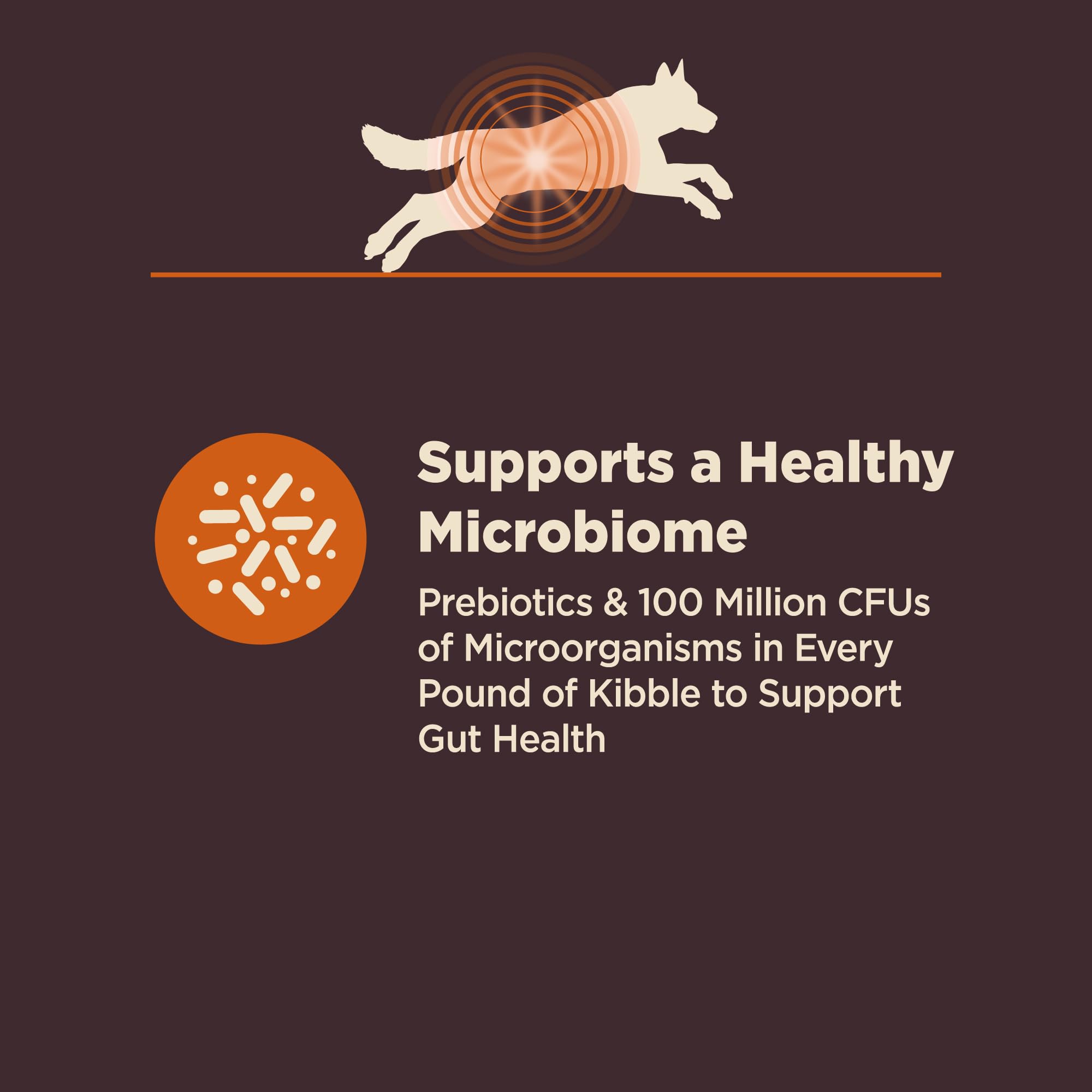 Wellness CORE Digestive Health kibble with digestive enzymes and brown rice for digestibility