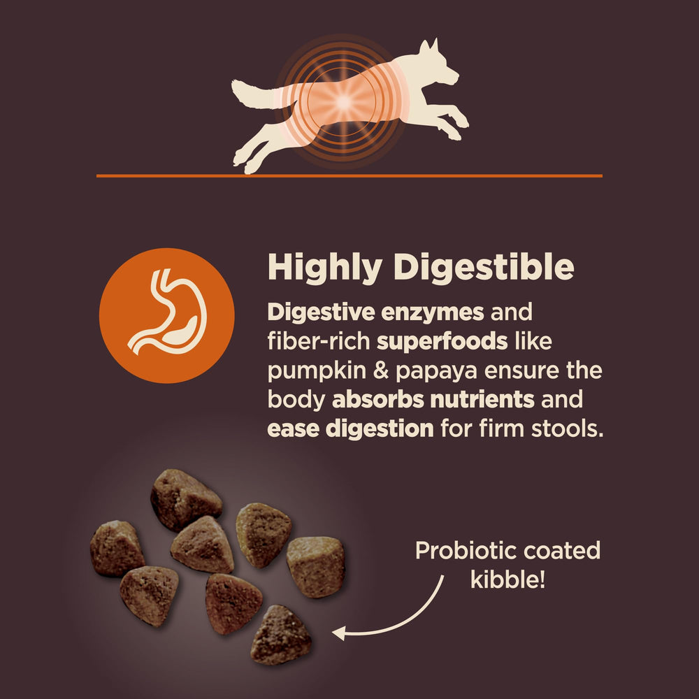 Wellness CORE Digestive Health dog eating from a bowl