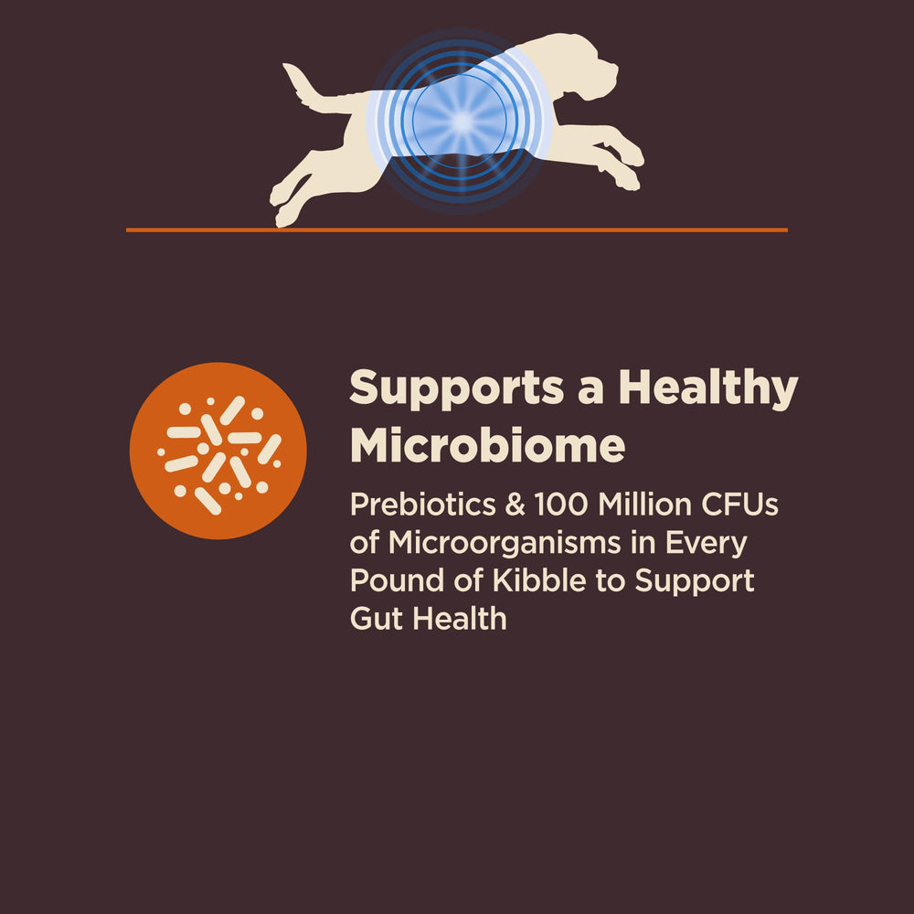 Brown rice grains represent wholesome grains used in the formula.