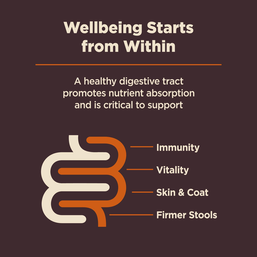 Wellness CORE Digestive Health made in the USA icon on packaging