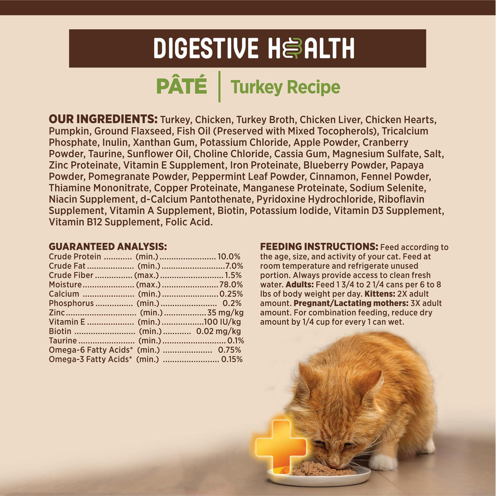 Wellness CORE+ Digestive Health moisture-rich wet food close-up