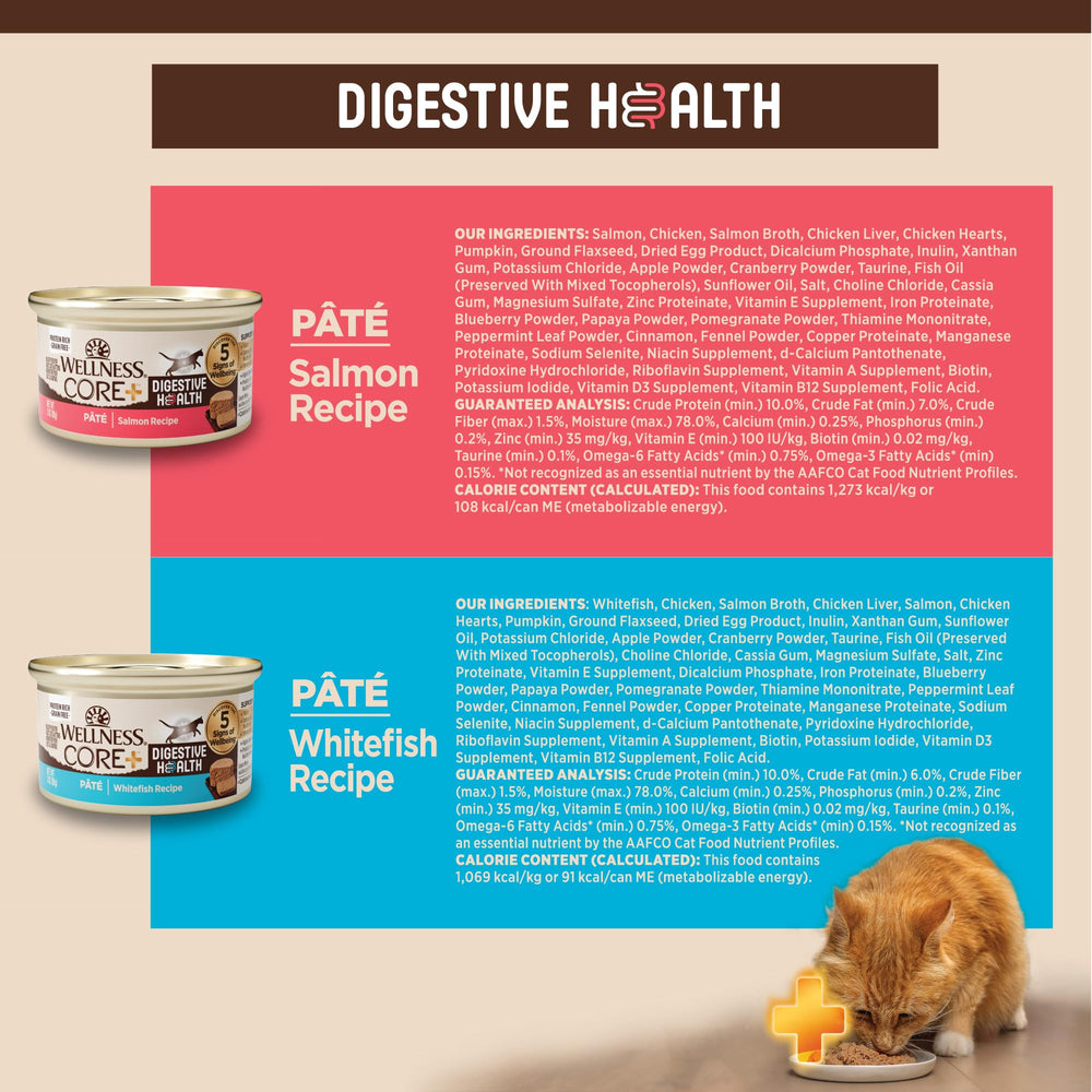 Wellness CORE+ grain-free formula clearly indicated on packaging