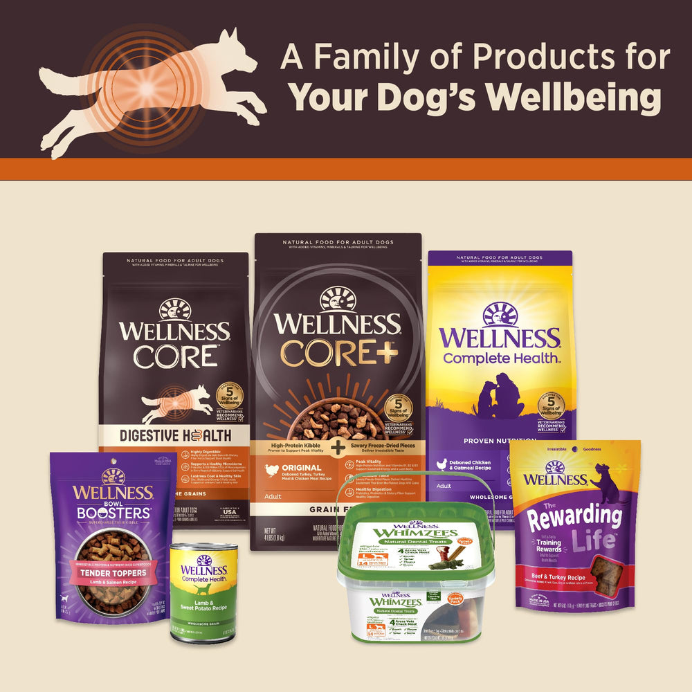 Wellness CORE Digestive Health Pate supports immune health and a healthy coat.