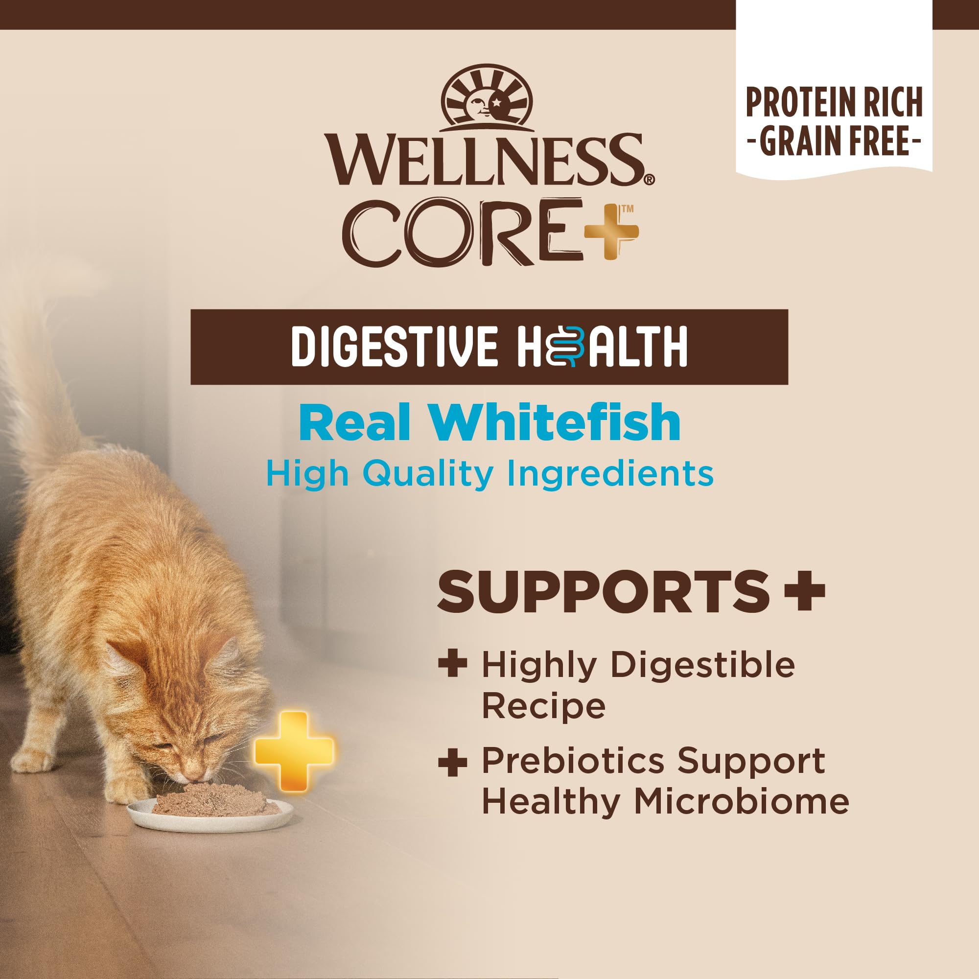 Wellness CORE Digestive Health pate smooth texture – easy for picky cats