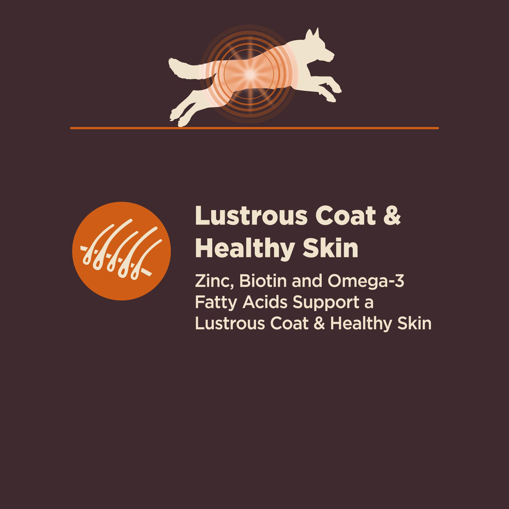 Wellness CORE Digestive Health probiotic coating graphic for gut balance