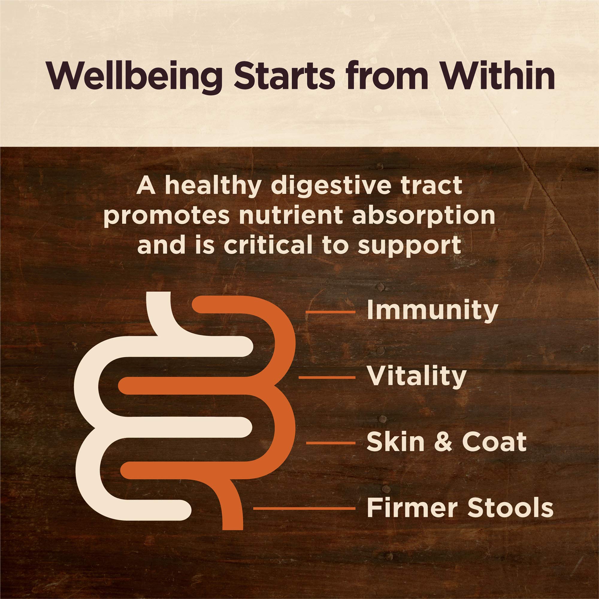 Probiotic-coated kibble with digestive enzymes and prebiotics for gut balance.