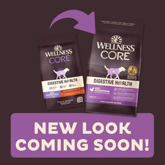 Wellness CORE Digestive Health senior dog bowl image showing balanced nutrition for sensitive stomachs.