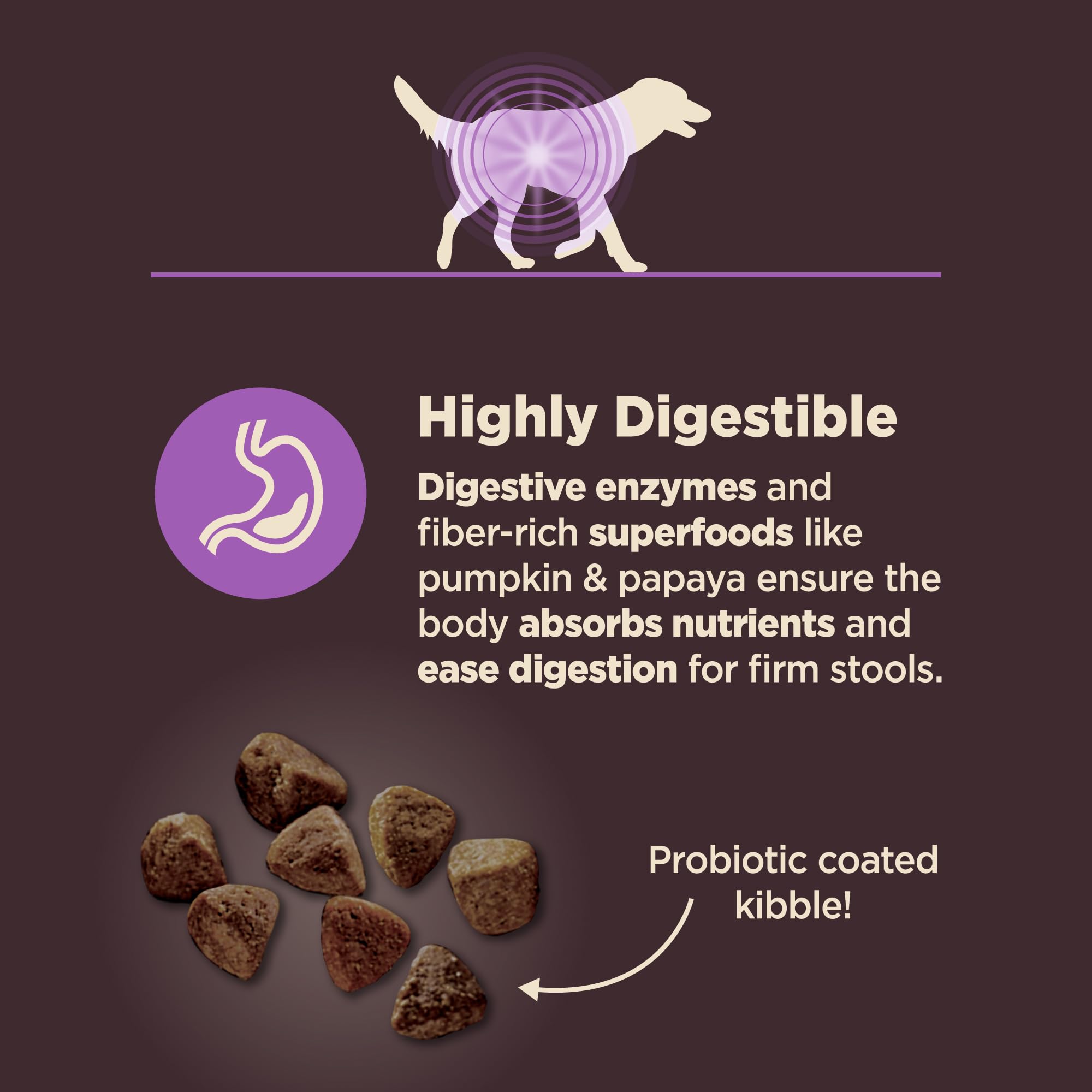 Smaller, porous kibble designed for aging gums and teeth during meals.