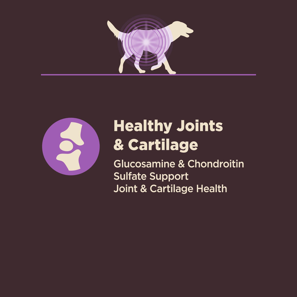Wellness CORE Digestive Health senior USA-made facility depiction highlighting domestic manufacturing.