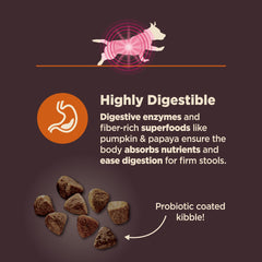 Wellness CORE Digestive Health small breed bowl serving kibble promotes gut health through balanced nutrition