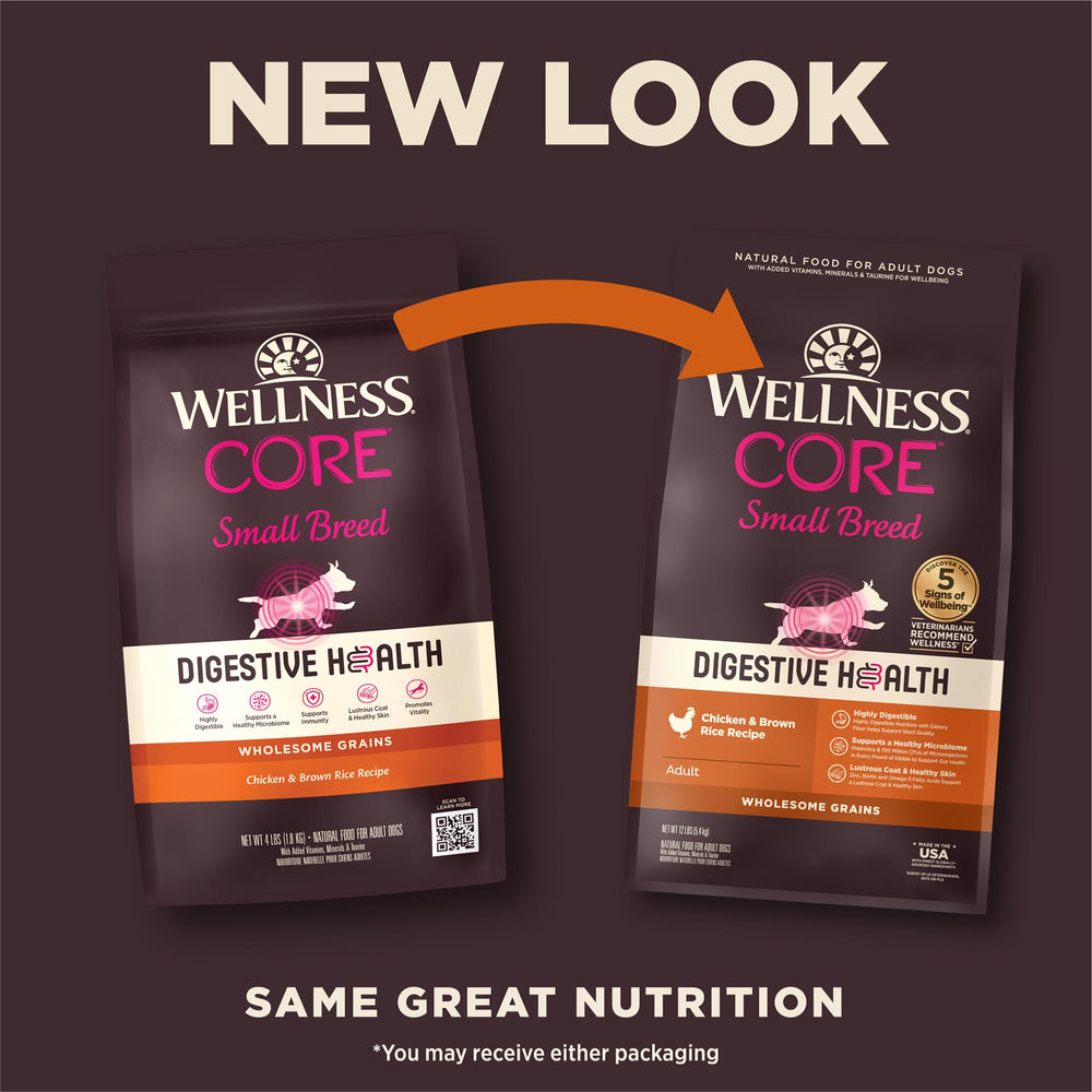 Wellness CORE Digestive Health kibble close-up highlighting protein-rich formula