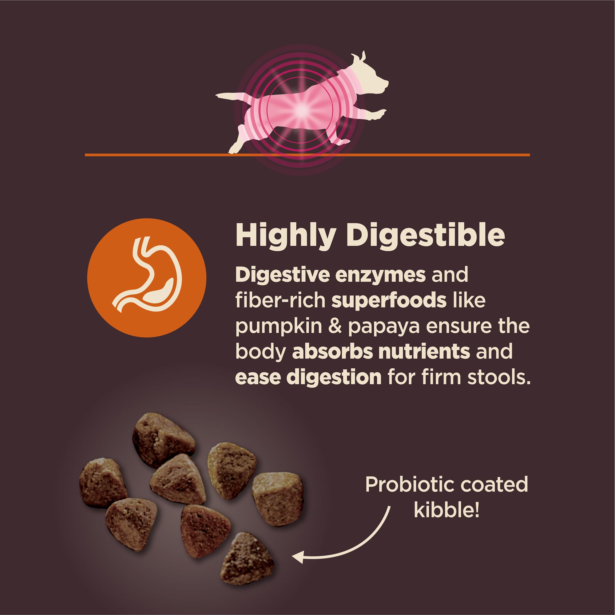 Wellness CORE Digestive Health kibble pouring into bowl for easy feeding