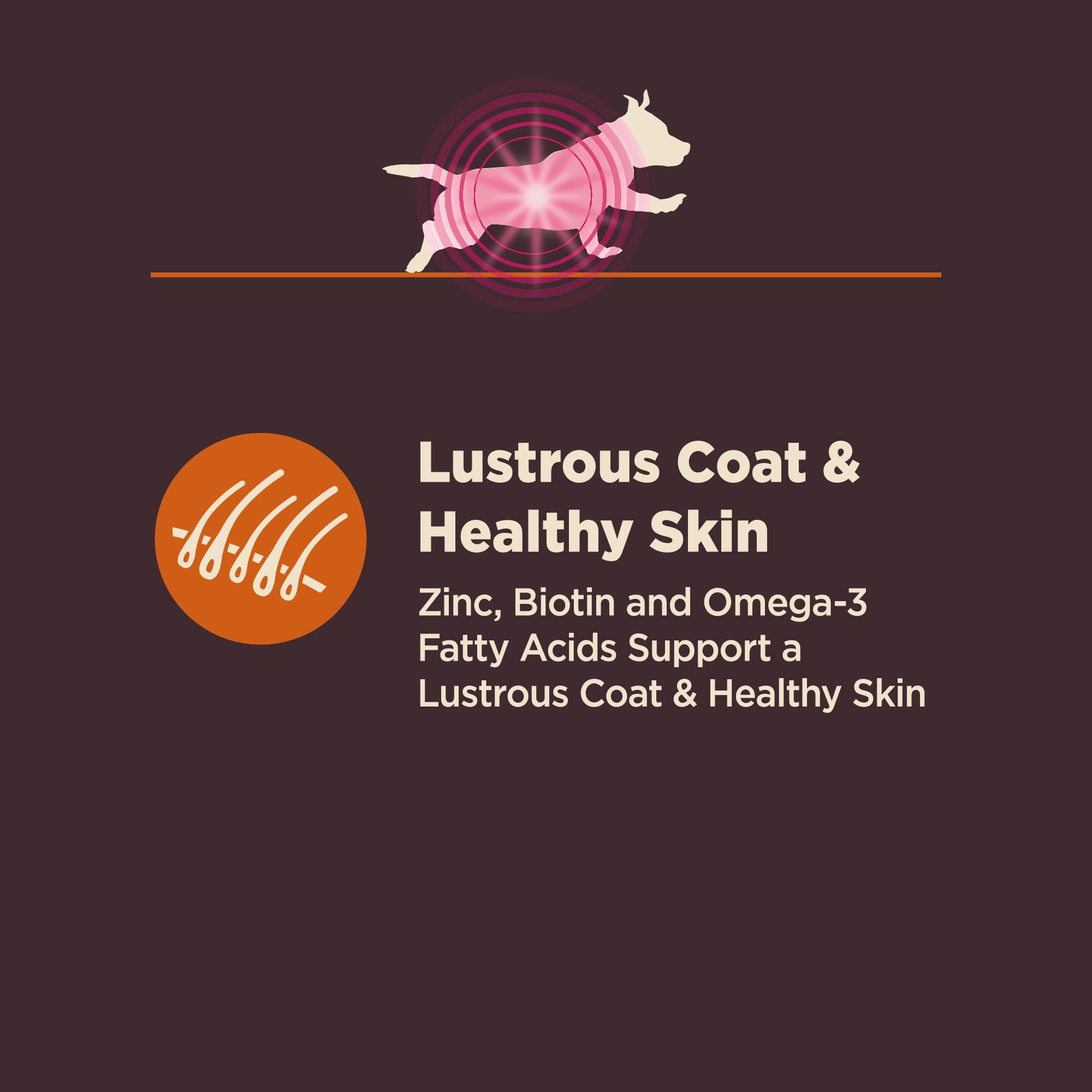 Wellness CORE Digestive Health small breed probiotic coating image emphasizes gut-friendly benefits