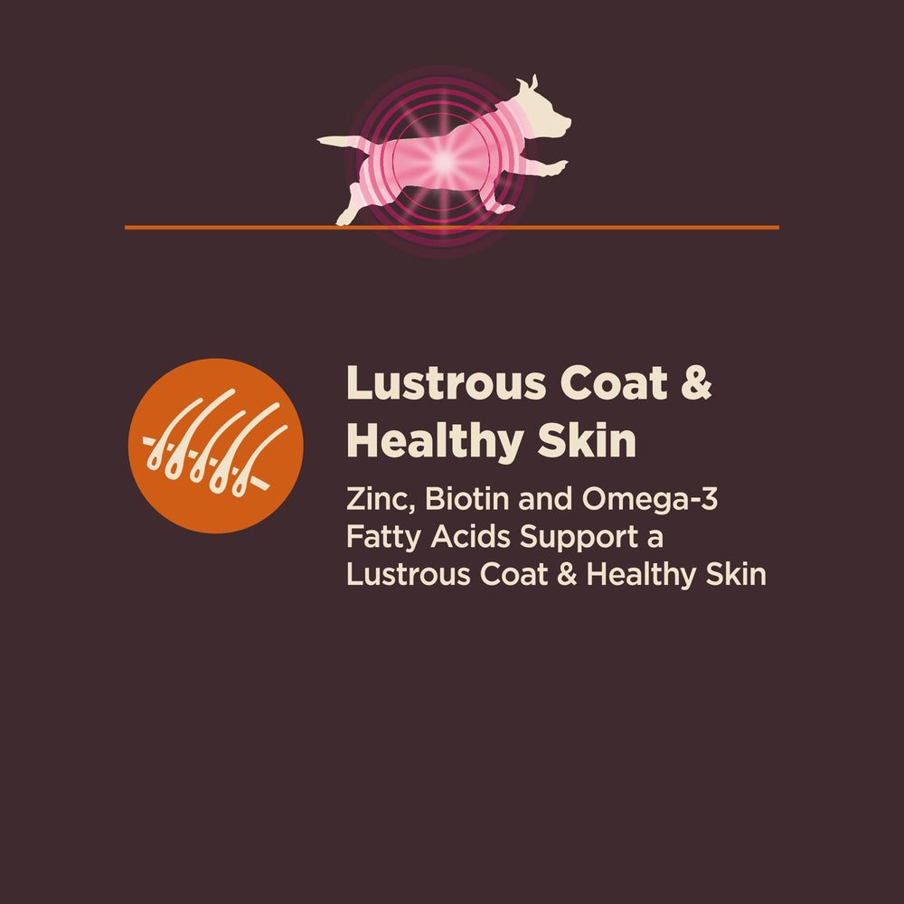 Wellness CORE Digestive Health small breed probiotic coating image emphasizes gut-friendly benefits