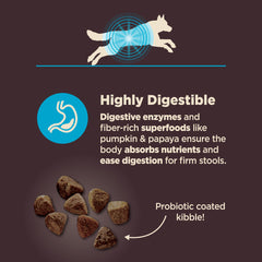 Wellness CORE Digestive Health whitefish kibble close-up showing high-digestibility protein.