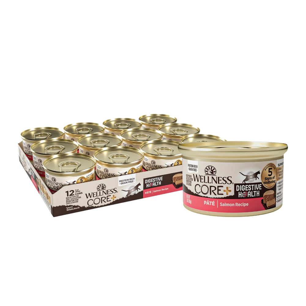 Wellness CORE+ Digestive Health Salmon Pate in a bowl shows a smooth texture for easy eating.