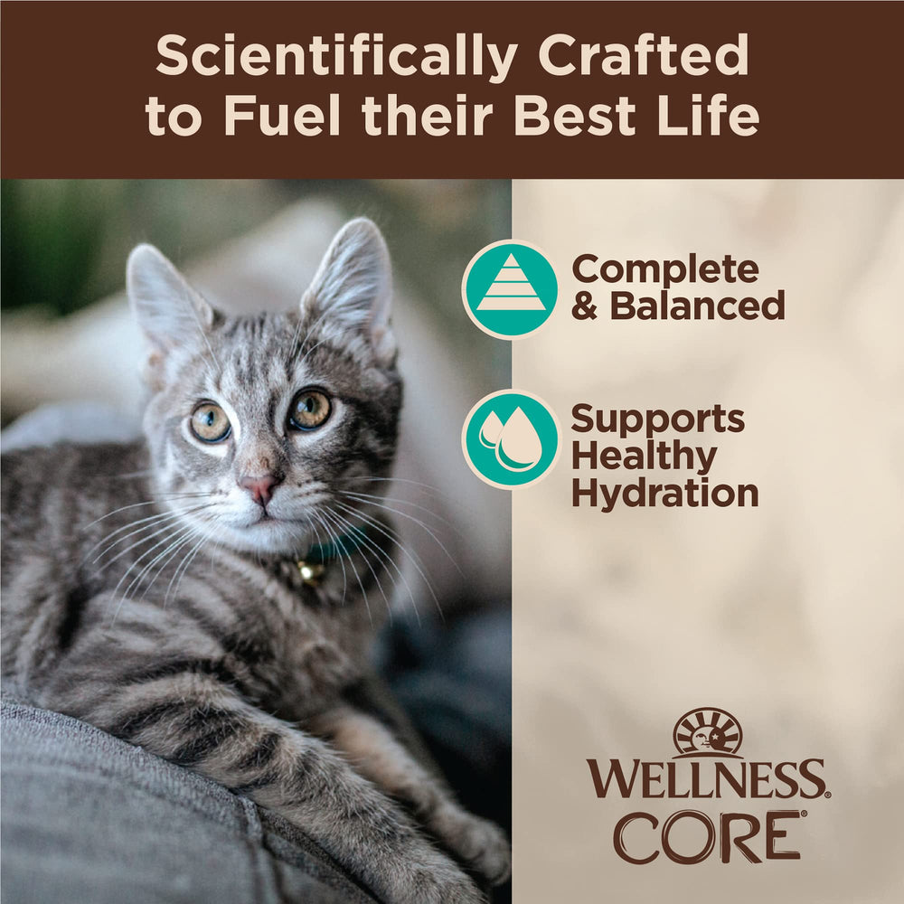 Grain-free Wellness CORE formula with natural ingredients.