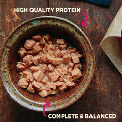 Wellness Core grain-free wet dog food highlighting premium ingredients and digestibility