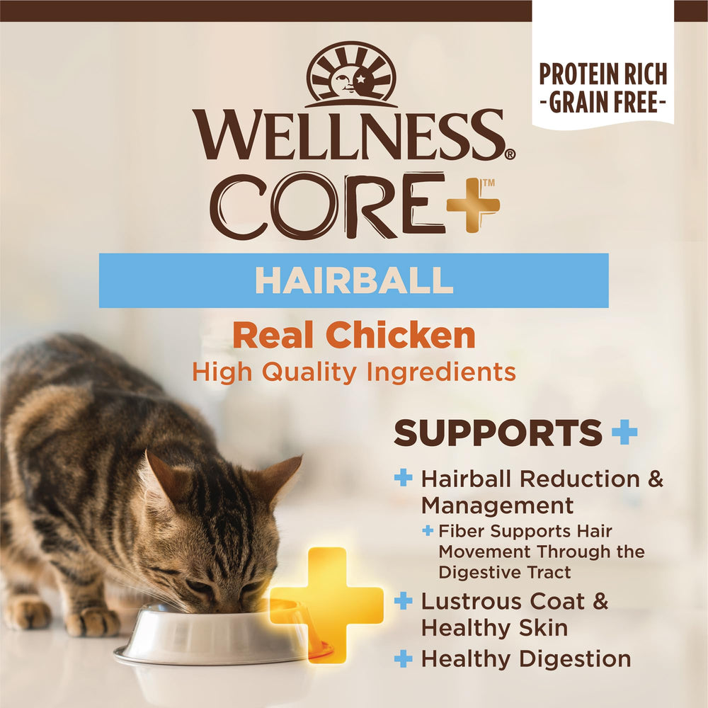 Wellness CORE+ Hairball kibble texture emphasizes protein-rich, grain-free recipe for digestion