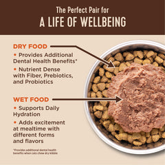 Wellness CORE+ Hairball kibble close-up shows fiber supporting hair movement in digestion