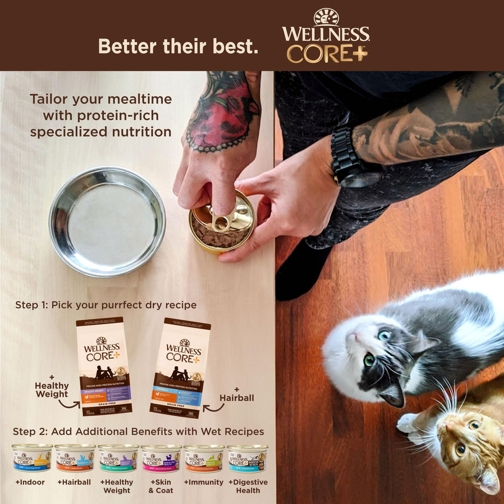 Wellness CORE+ Hairball kibble close-up showing crispy texture loved by cats