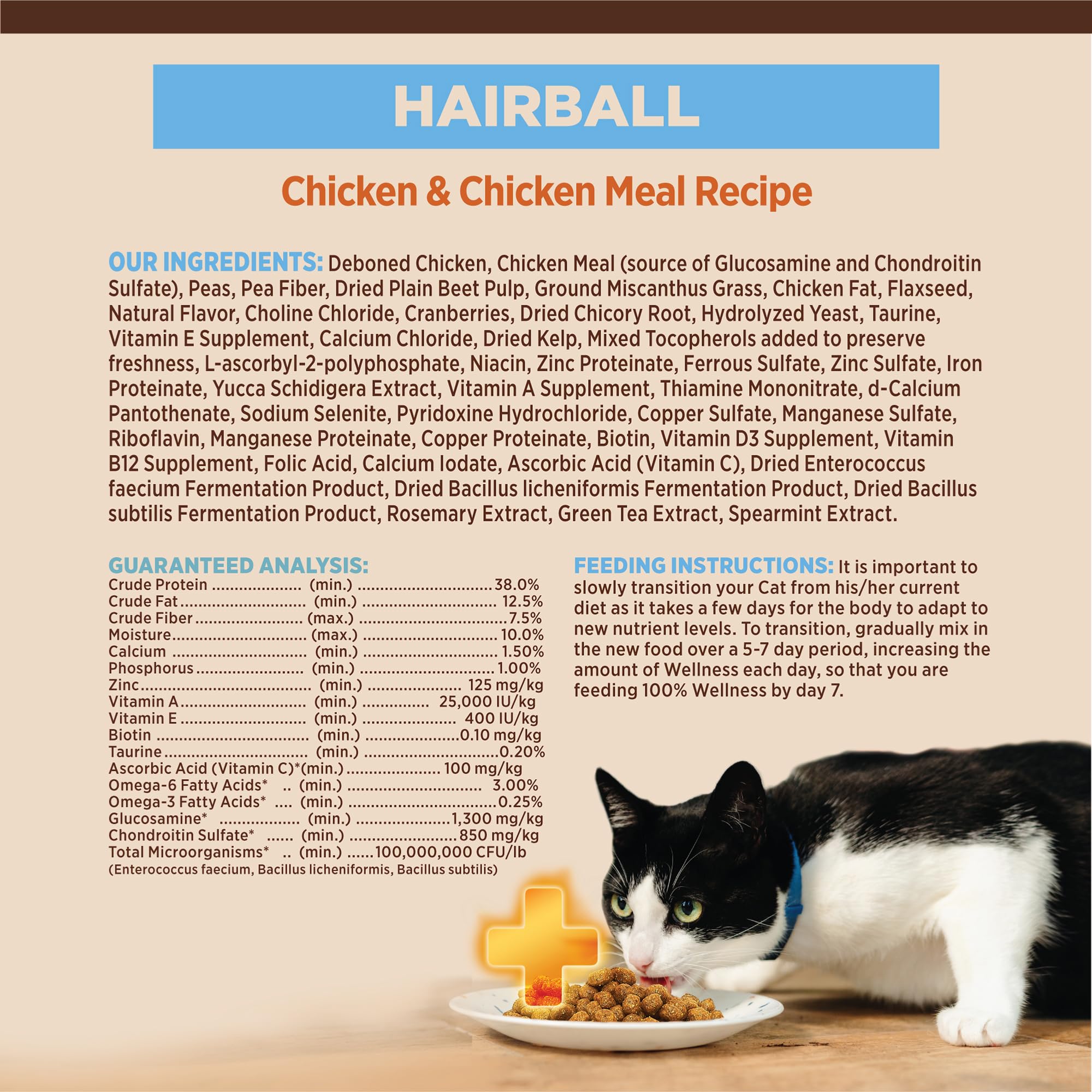 Wellness CORE+ Hairball serving bowl ready for daily feeding routine