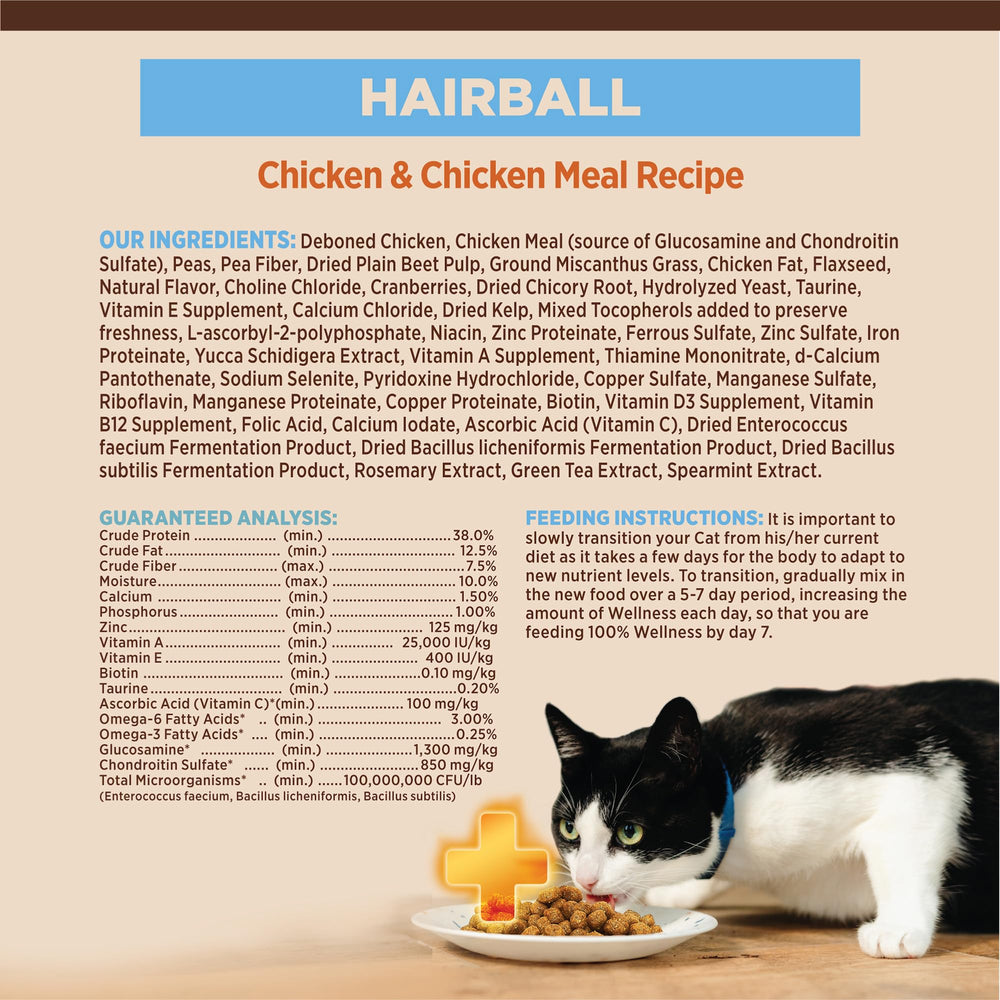 Wellness CORE+ Hairball serving bowl ready for daily feeding routine