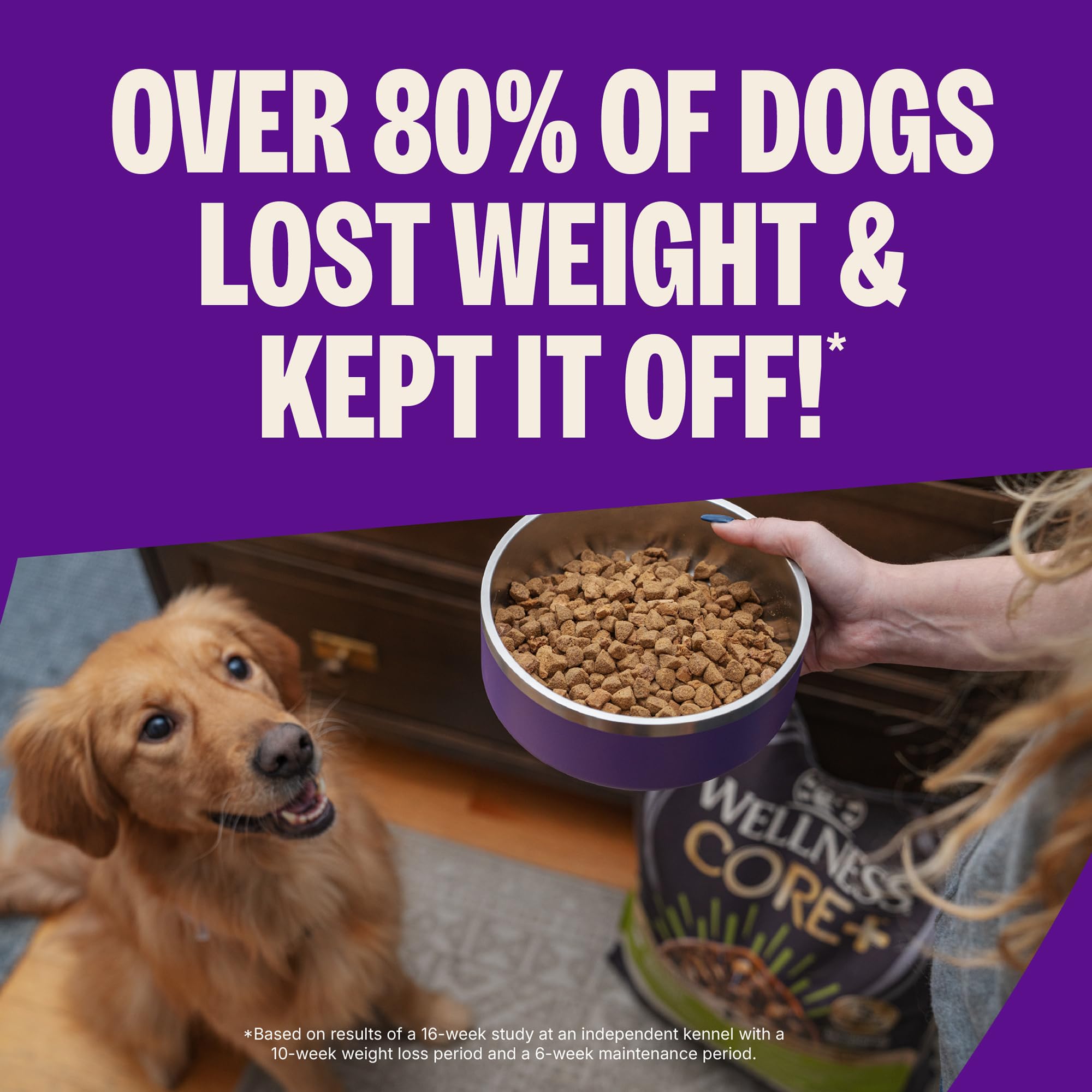 Wellness CORE Healthy Weight kibble closeup highlighting 42% protein content