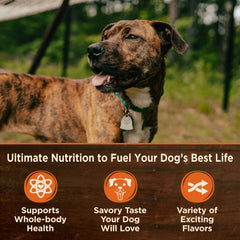 Wellness CORE Hearty Cuts salmon-oil blend supports healthy skin and coat in dogs.