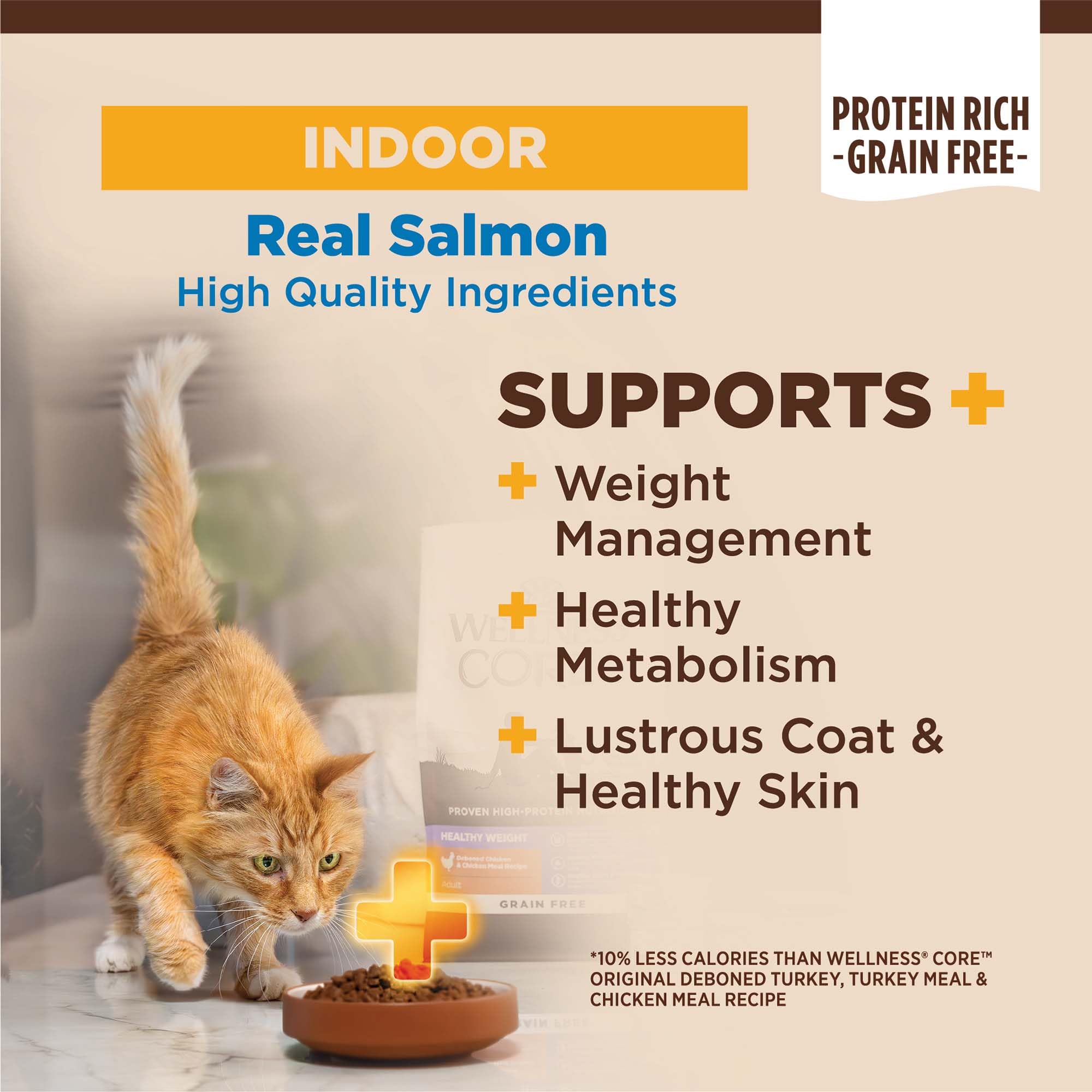 Close-up of Wellness CORE indoor-cat kibble highlighting grain-free formula benefits.