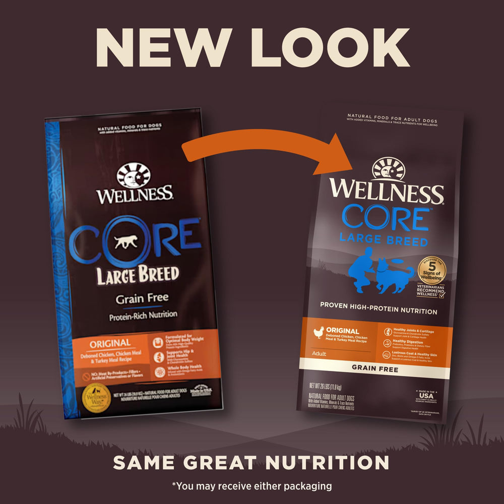 Wellness CORE Large Breed Puppy bag pour image for convenient grain-free feeding.