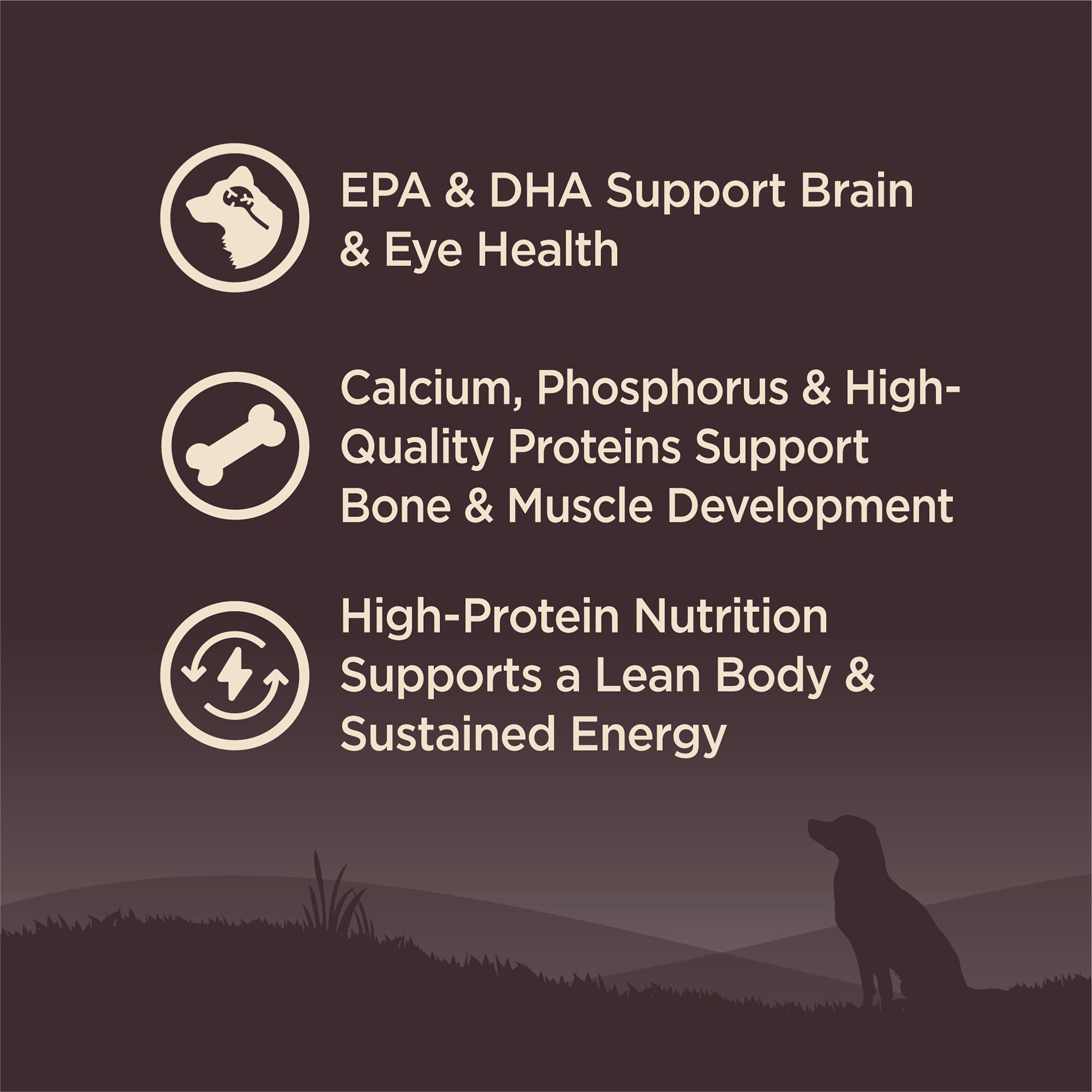 Open Wellness CORE bag reveals wholesome ingredients and premium protein for puppies.