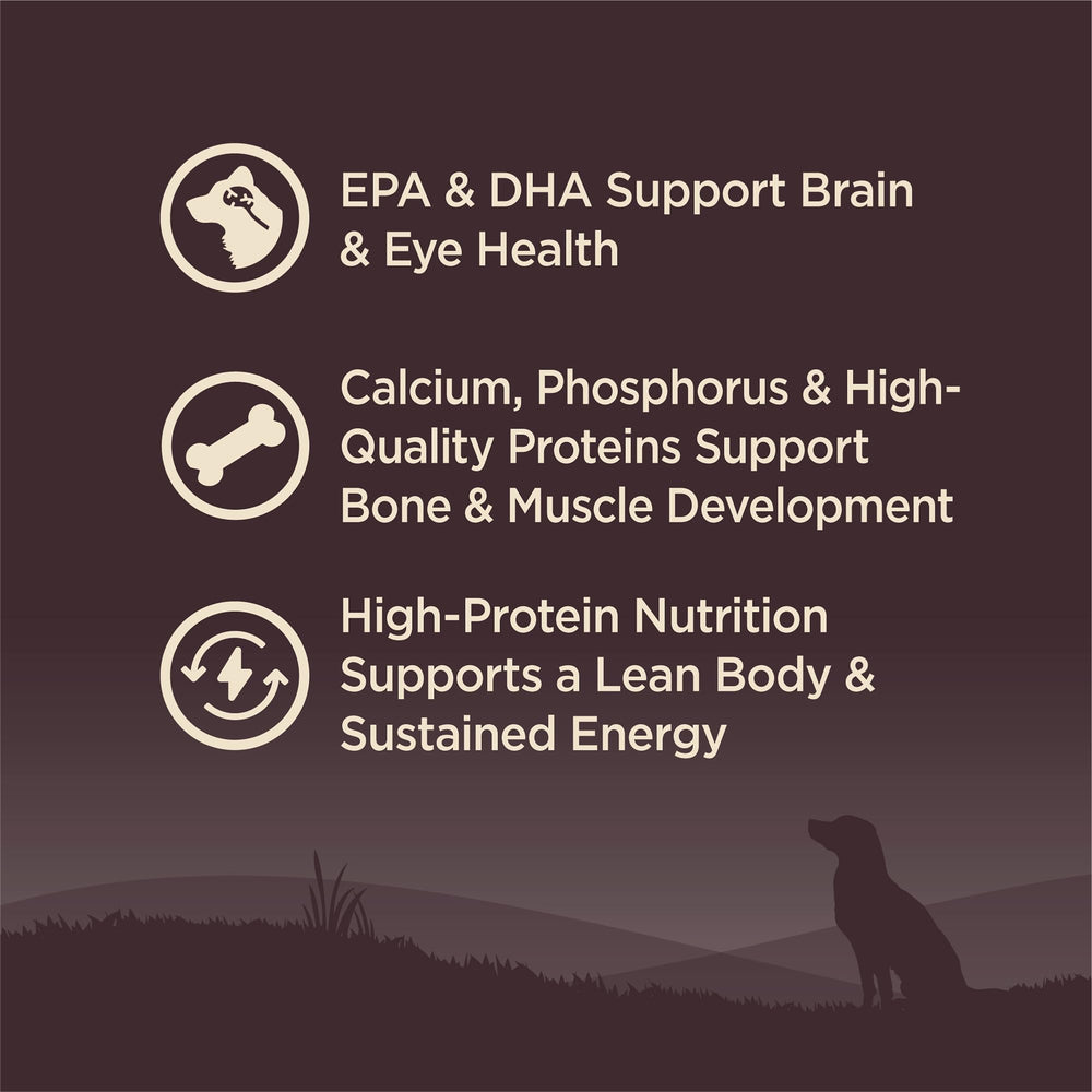Open Wellness CORE bag reveals wholesome ingredients and premium protein for puppies.