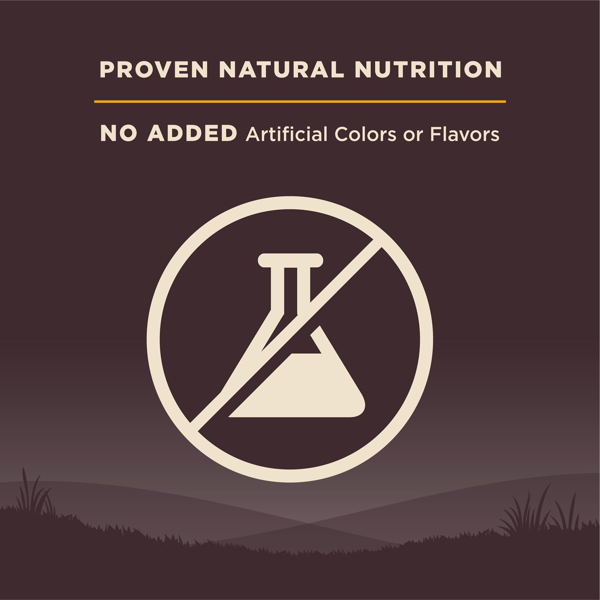 Wellness CORE Large Breed Puppy Food promotes a shiny coat and healthy skin after feeding.