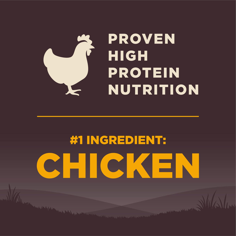 Wellness CORE large breed puppy food image emphasizing DHA and Omega for balanced growth.