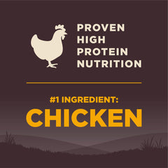 Wellness CORE large breed puppy food image emphasizing DHA and Omega for balanced growth.
