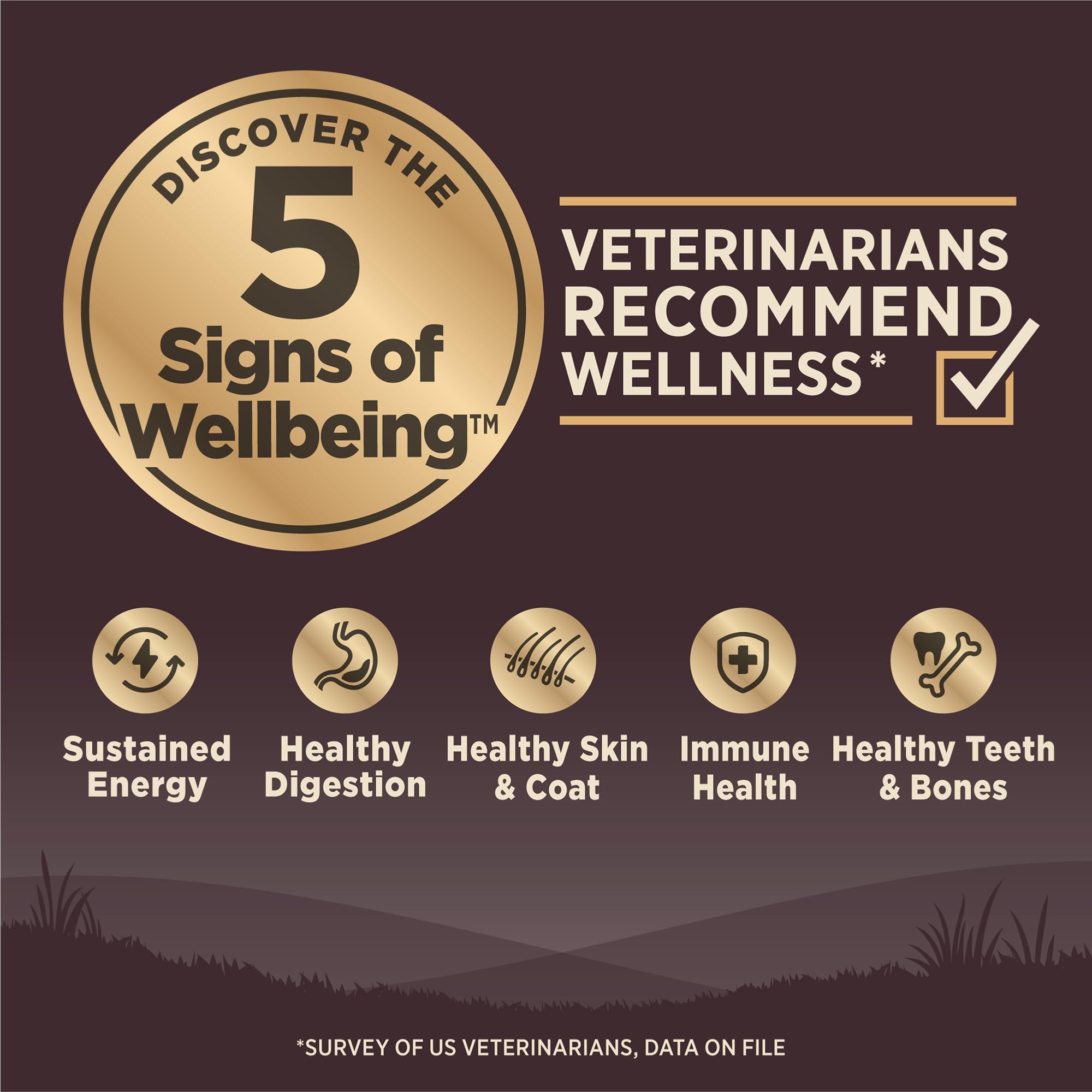 Wellness CORE Large Breed Puppy Food kibble close-up highlighting high-protein chicken recipe.