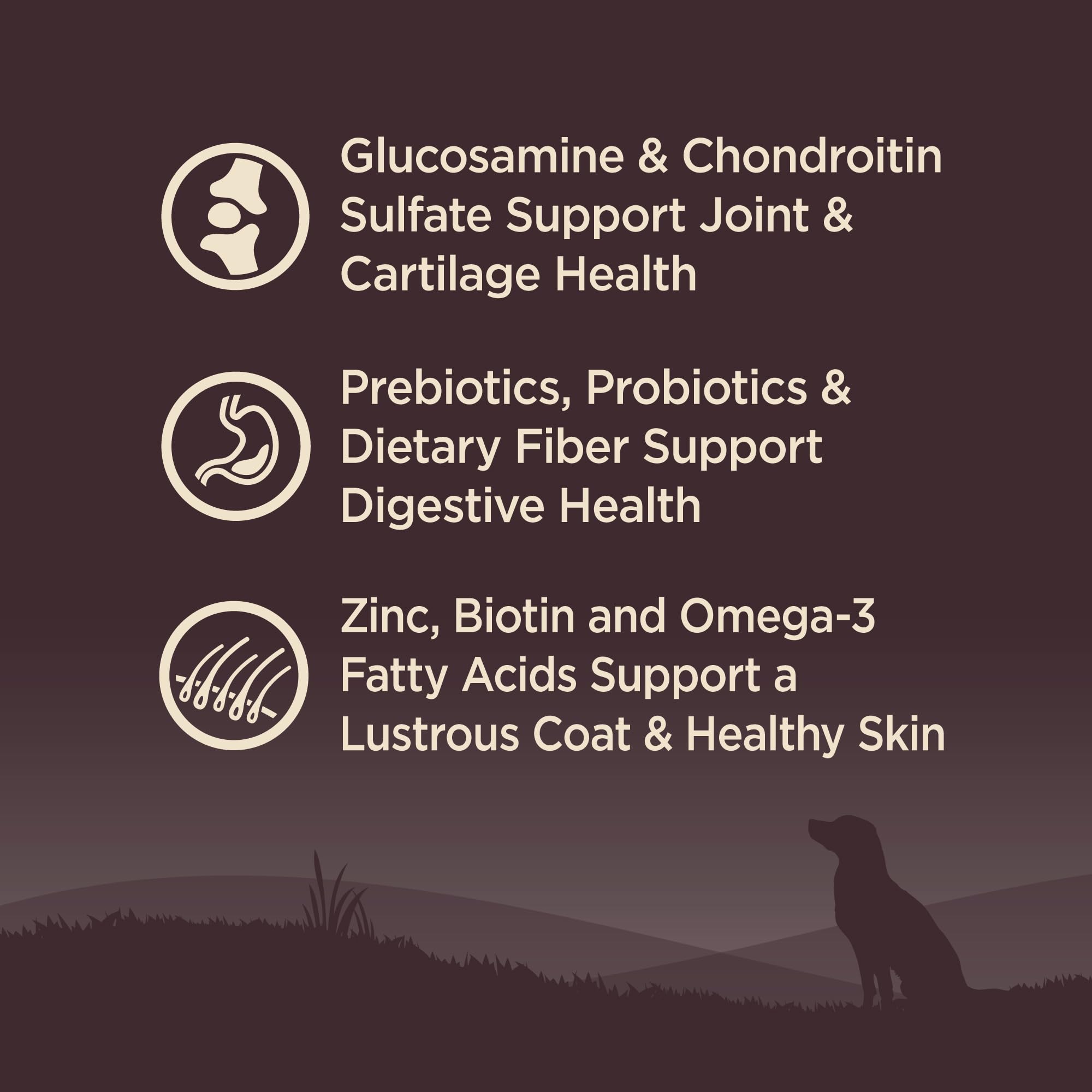 Wellness CORE Large Breed Puppy ingredients image spotlighting premium chicken and turkey proteins.