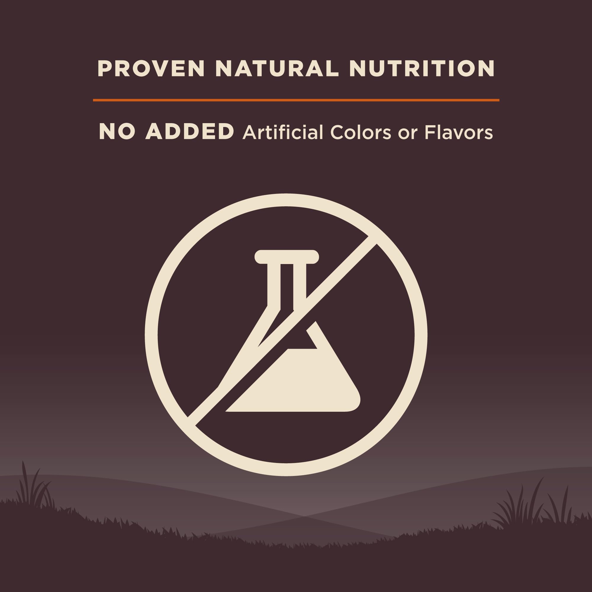 Wellness CORE Large Breed Puppy USA-made facility seal signaling quality sourcing.