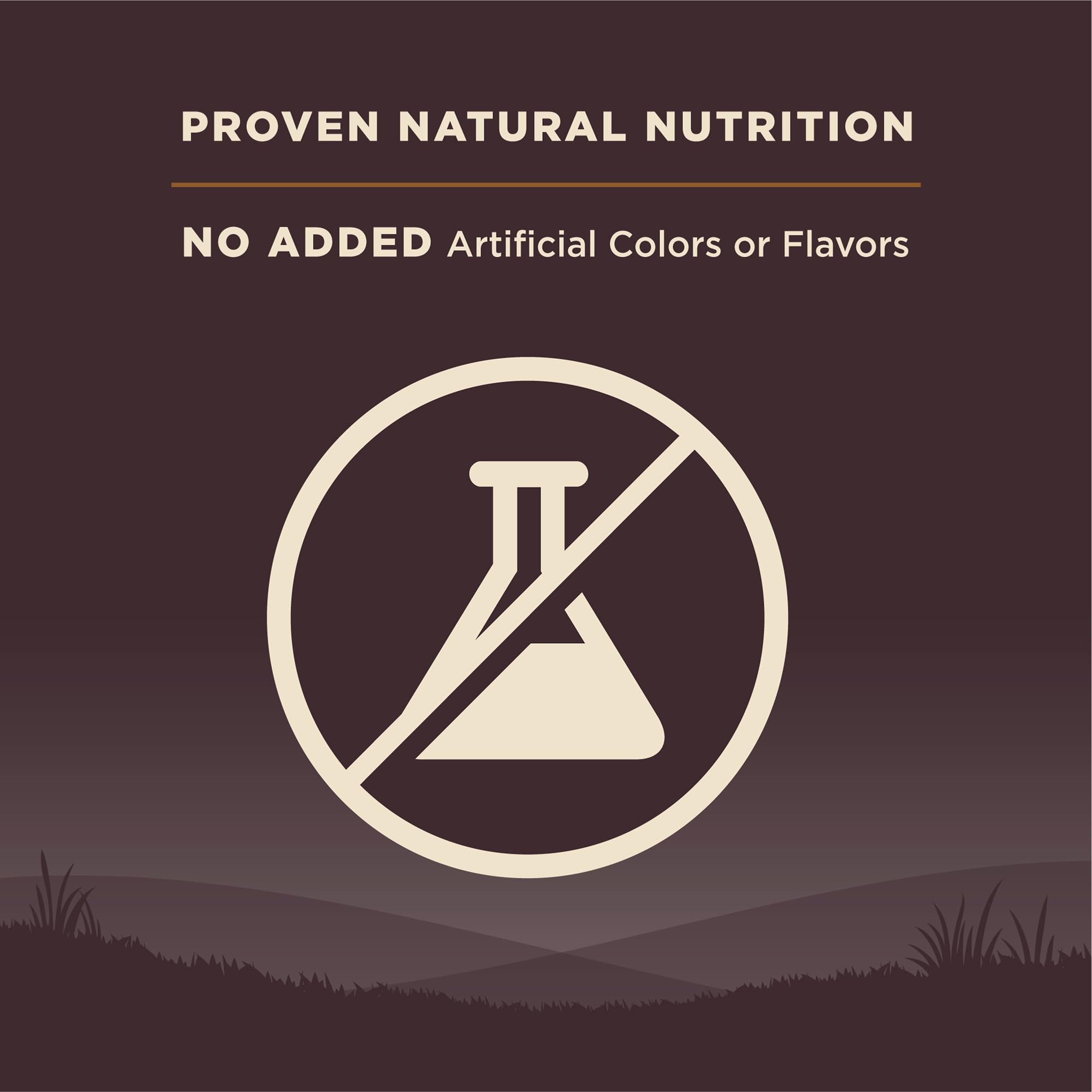 Wellness CORE grain-free formula; potato-free for dogs with sensitivities.