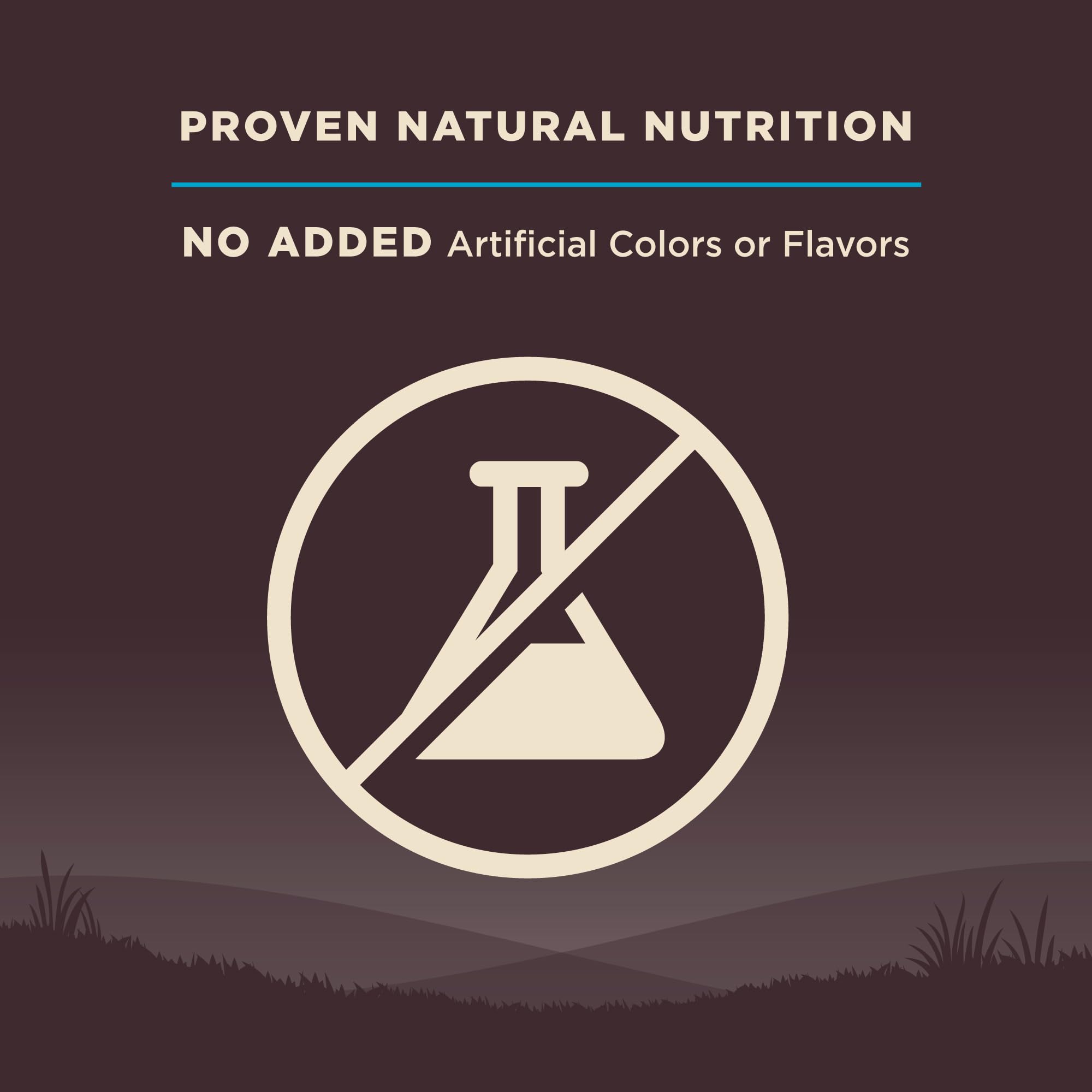 Wellness Core packaging shown in kitchen highlighting USA-made facility