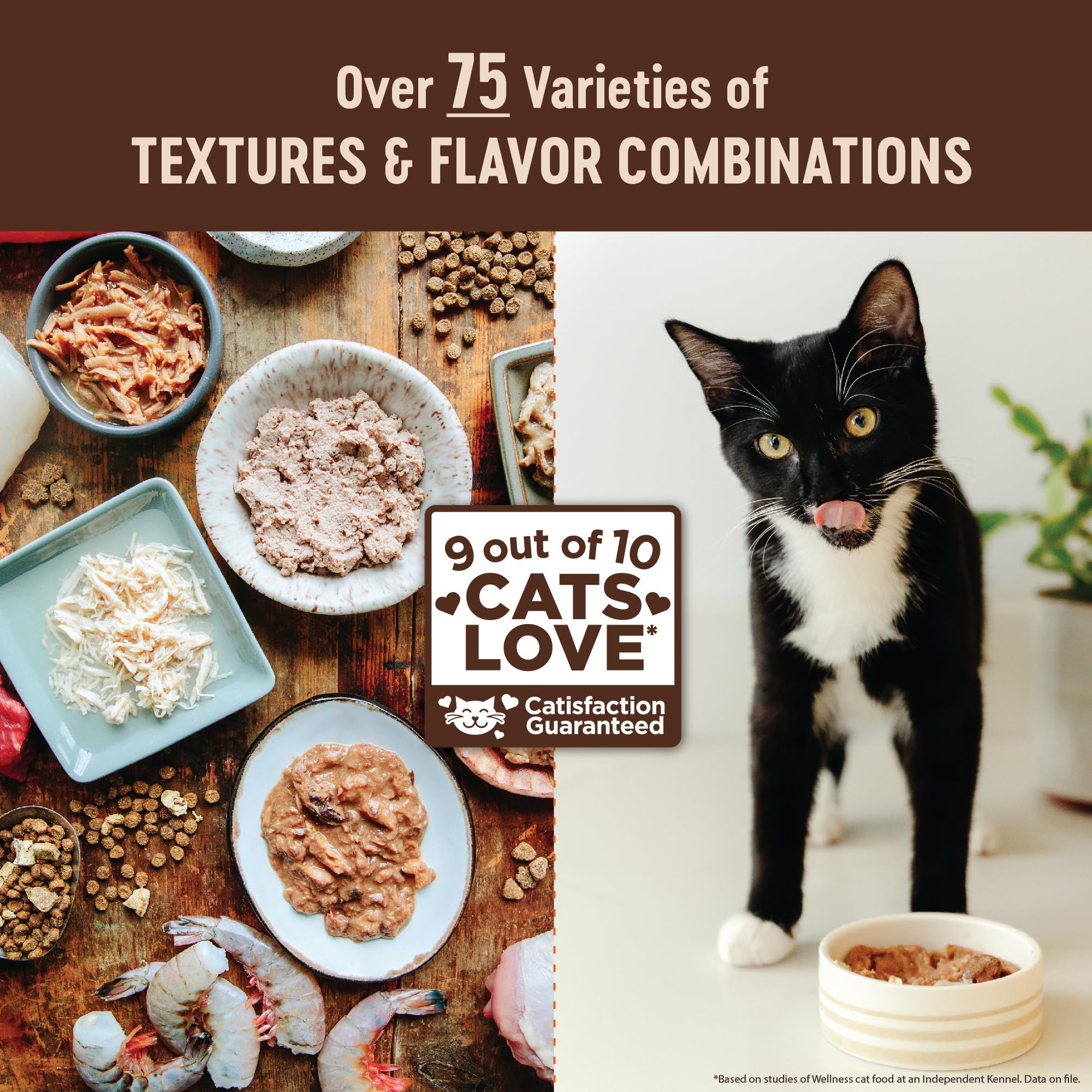 Hydration-friendly wet cat food aiding daily moisture with flavorful turkey and duck