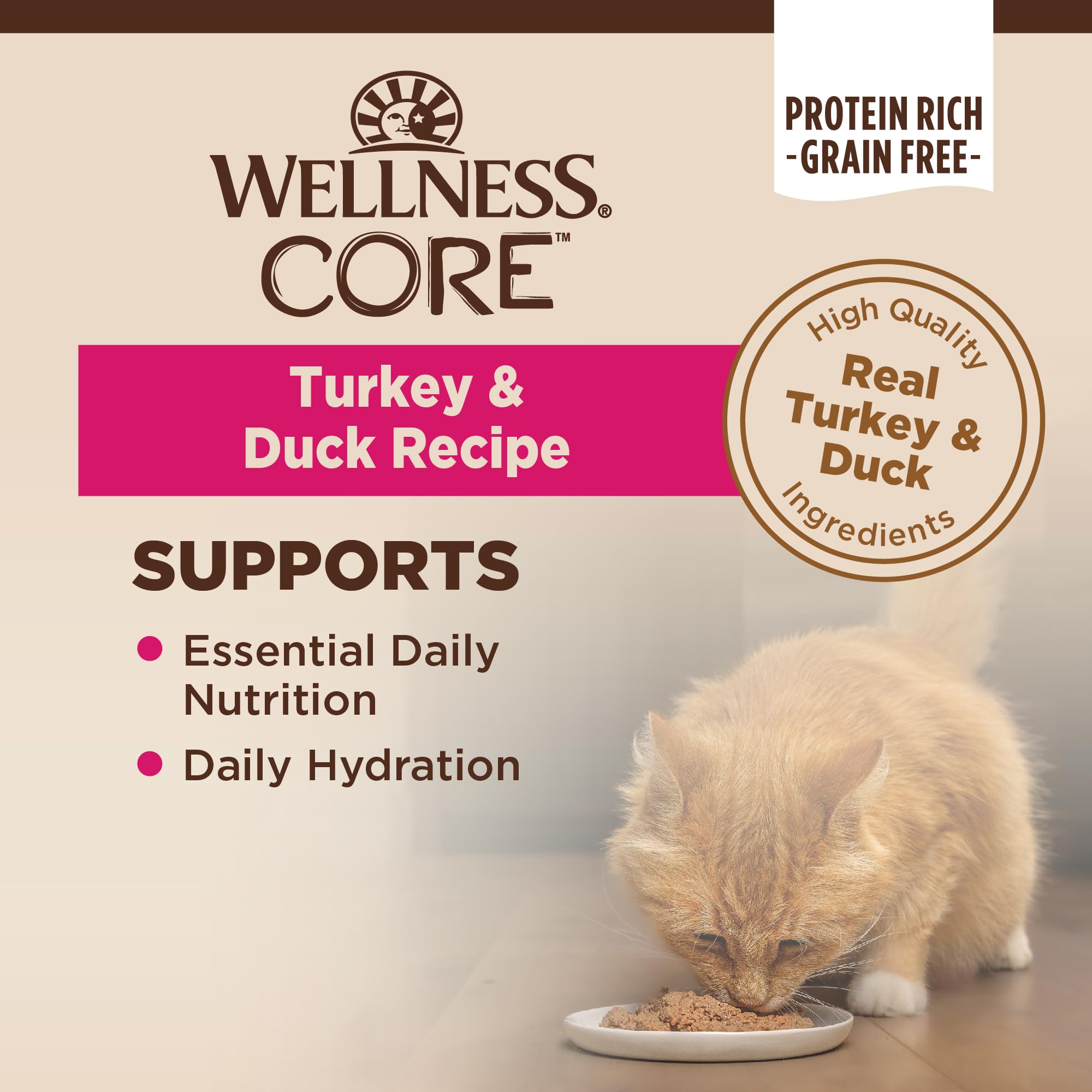 Wellness CORE Pate served in bowl emphasizes hydration through tasty wet food
