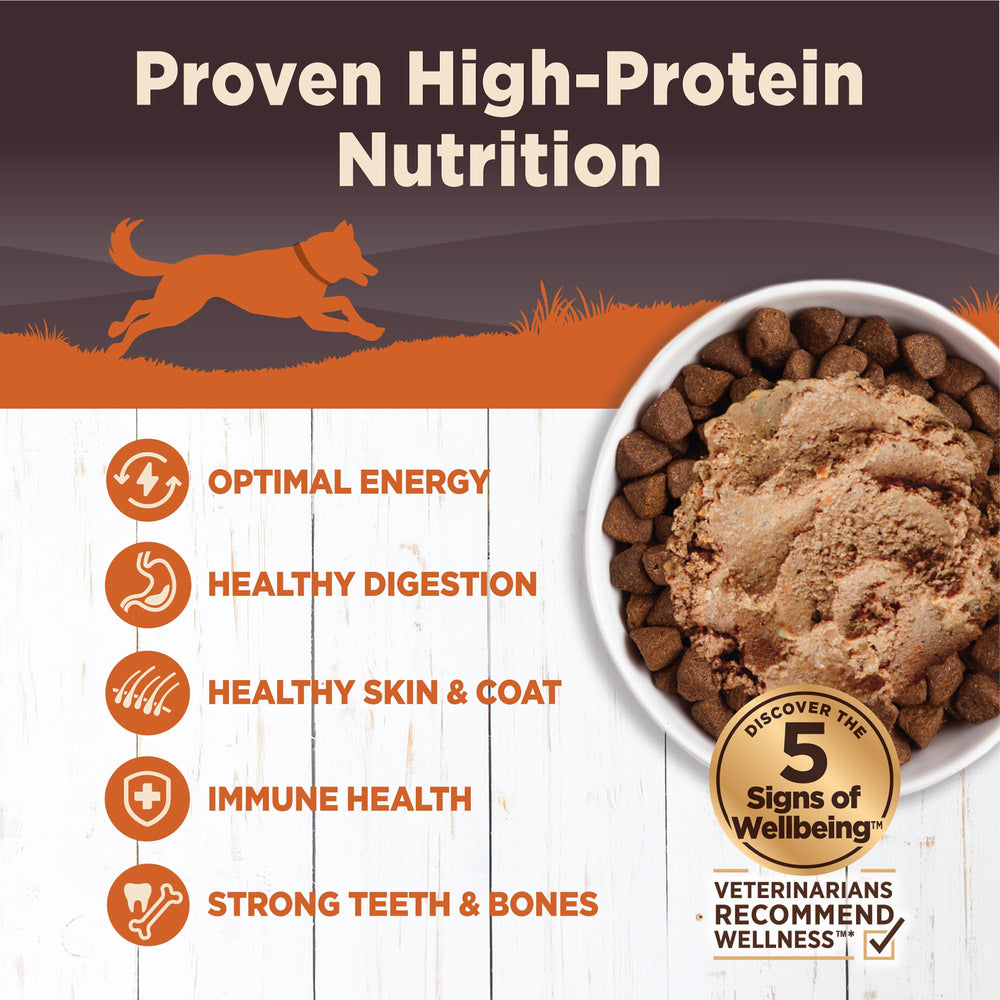 Wellness CORE grain-free pate closeup highlights protein-rich ingredients